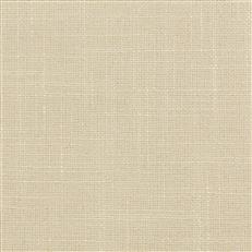 lovely-aura-116-tusk