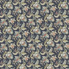 asha-navy