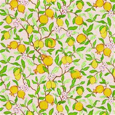 Brytni - Vern Yip - Blush