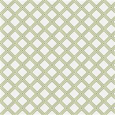 angustura-fc-echo-kiwi