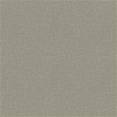 Tabernas (Fc) - Dove