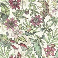 BL1702 - Blooms Second Edition Wallpaper Rainforest
