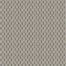 Perugia (Fc) - Larkspur