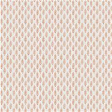 Perugia (Fc) - Marigold