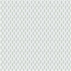 Perugia (Fc) - Water Lily