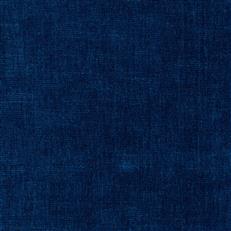 Alpaga (Kc) - Performance - 5 Galaxy Blue