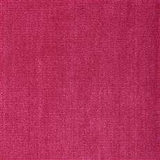 Alpaga (Kc) - Performance - 77 Fuchsia