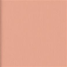 Super Sateen - Shell