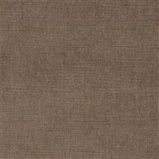 Ella Pfr (Ri) - Performance - Fox