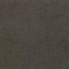 Ella Pfr (Ri) - Performance - Sable