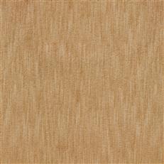 Marceline Pfr (Ri) - Performance - Squash