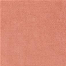 Viviane Pfr (Ri) - Performance - Punch