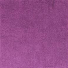 Viviane Pfr (Ri) - Performance - Violet