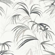 NT6123 -Candice Olson Natural Discovery Wallpaper Inky