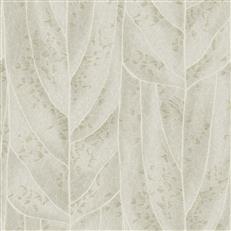 NT6144 -Candice Olson Natural Discovery Wallpaper Dicot