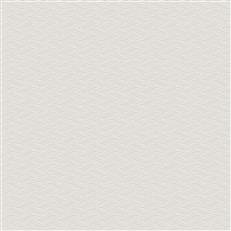 NT6152 -Candice Olson Natural Discovery Wallpaper Elevated