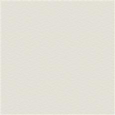 NT6154 -Candice Olson Natural Discovery Wallpaper Elevated