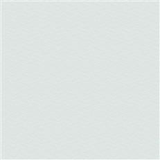 NT6155 -Candice Olson Natural Discovery Wallpaper Elevated
