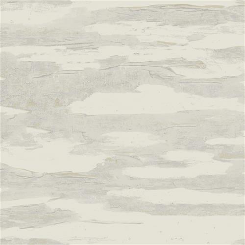 NT6175 -Candice Olson Natural Discovery Wallpaper Artistic