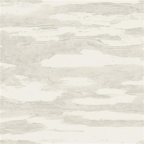 NT6176 -Candice Olson Natural Discovery Wallpaper Artistic