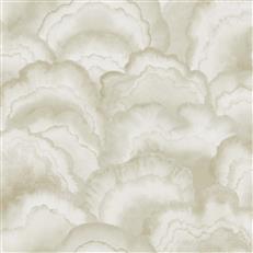 NT6182 -Candice Olson Natural Discovery Wallpaper Abalone