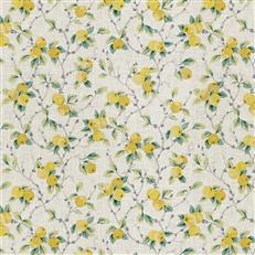 Baines (Fc) - Jaclyn Smith - Saffron