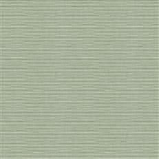 Kalancho (Fc) - Jaclyn Smith - Matcha