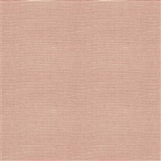 Kalancho (Fc) - Jaclyn Smith - Peony