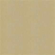 Kalancho (Fc) - Jaclyn Smith - Saffron