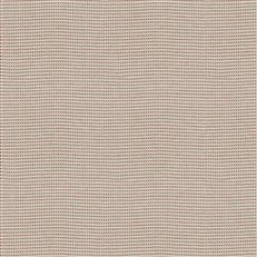 Neulin (Fc) - Jaclyn Smith - Peony