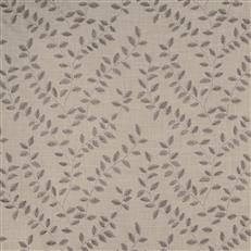 Vinifera (Kc) - 11 Pearl Grey