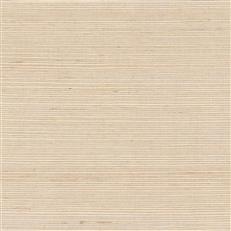 GV0118NW - Grasscloth And Natural Resource Maguey Sisal