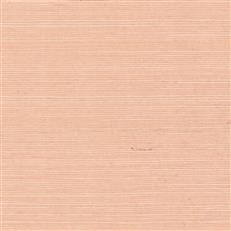 GV0126NW - Grasscloth And Natural Resource Maguey Sisal