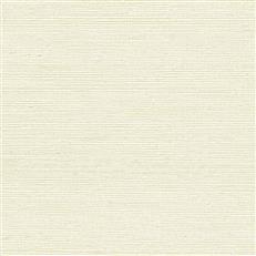 GV0142NW - Grasscloth And Natural Resource Maguey Sisal