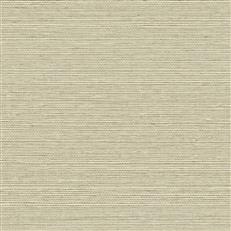 GV0143NW - Grasscloth And Natural Resource Maguey Sisal
