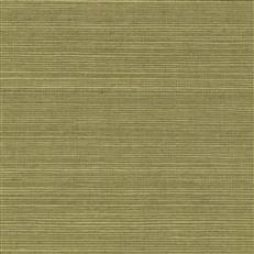 GV0145NW - Grasscloth And Natural Resource Maguey Sisal