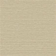 GV0174NW - Grasscloth And Natural Resource Maguey Sisal