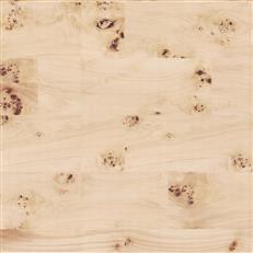 GV0266 - Grasscloth And Natural Resource Burlwood