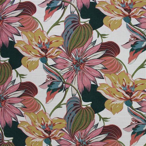 macody-ri-cerise