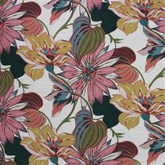 Macody (Ri) - Cerise