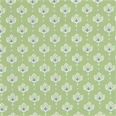 ambleside-lillian-august-kiwi