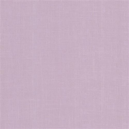 ines-lillian-august-orchid